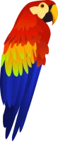 WEBP