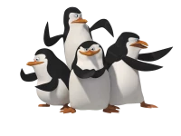 WEBP