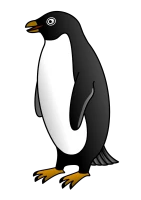 WEBP