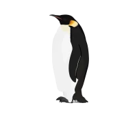 WEBP