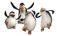 WEBP