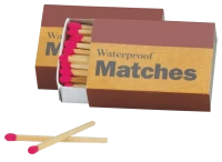 WEBP