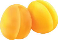 WEBP