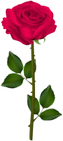 WEBP