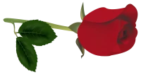 WEBP