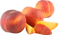 WEBP
