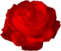 WEBP