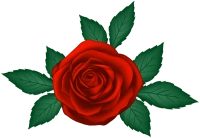 WEBP