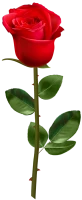 WEBP