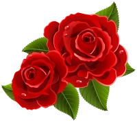 WEBP