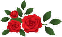WEBP