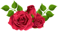 WEBP