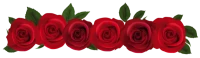 WEBP