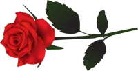 WEBP