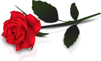 WEBP