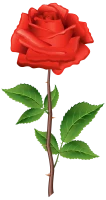 WEBP