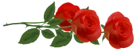 WEBP