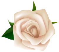 WEBP