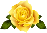 WEBP