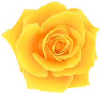 WEBP