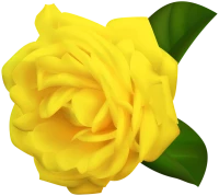 WEBP