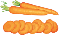 WEBP