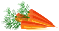 WEBP