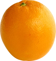 WEBP