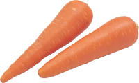 WEBP