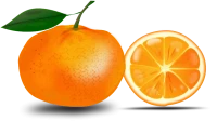WEBP