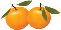 WEBP