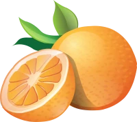 WEBP