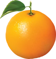 WEBP