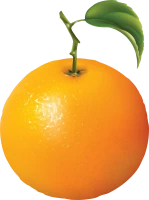 WEBP