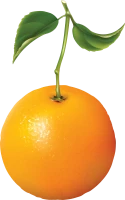 WEBP
