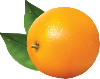 WEBP