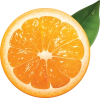 WEBP