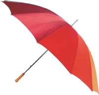 WEBP