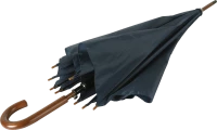 WEBP
