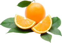 WEBP