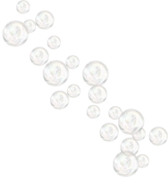 WEBP