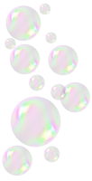 WEBP