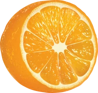 WEBP