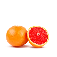 WEBP