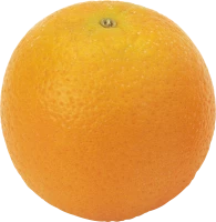 WEBP