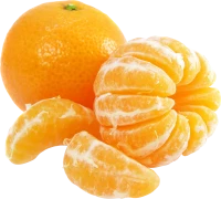 WEBP