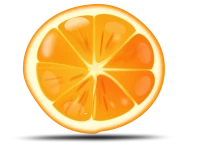 WEBP