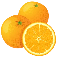 WEBP