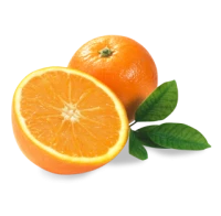 WEBP
