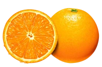 WEBP
